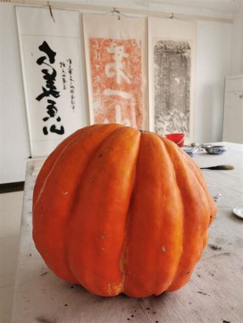 南瓜 屬性